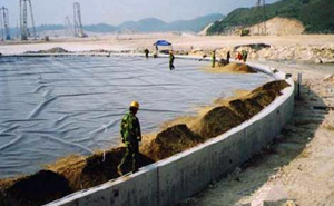 煉油廠/儲油罐草莓视频下载免费