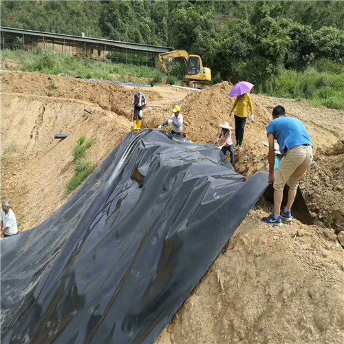 魚塘草莓视频下载免费膜